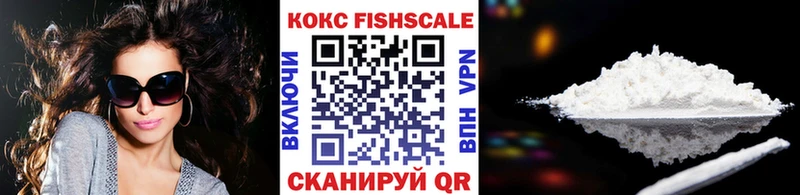 Cocaine FishScale  как найти   Ярославль 