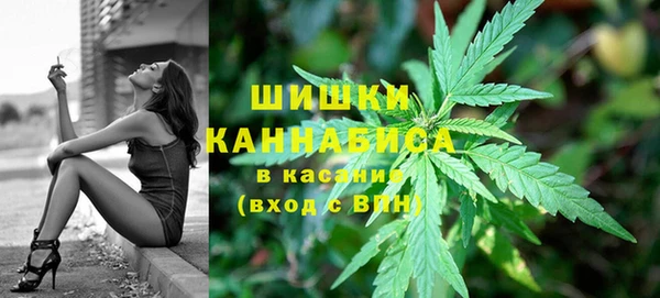 спайс Гусь-Хрустальный