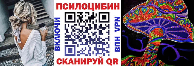 сколько стоит Ярославль Псилоцибиновые грибы GOLDEN TEACHER